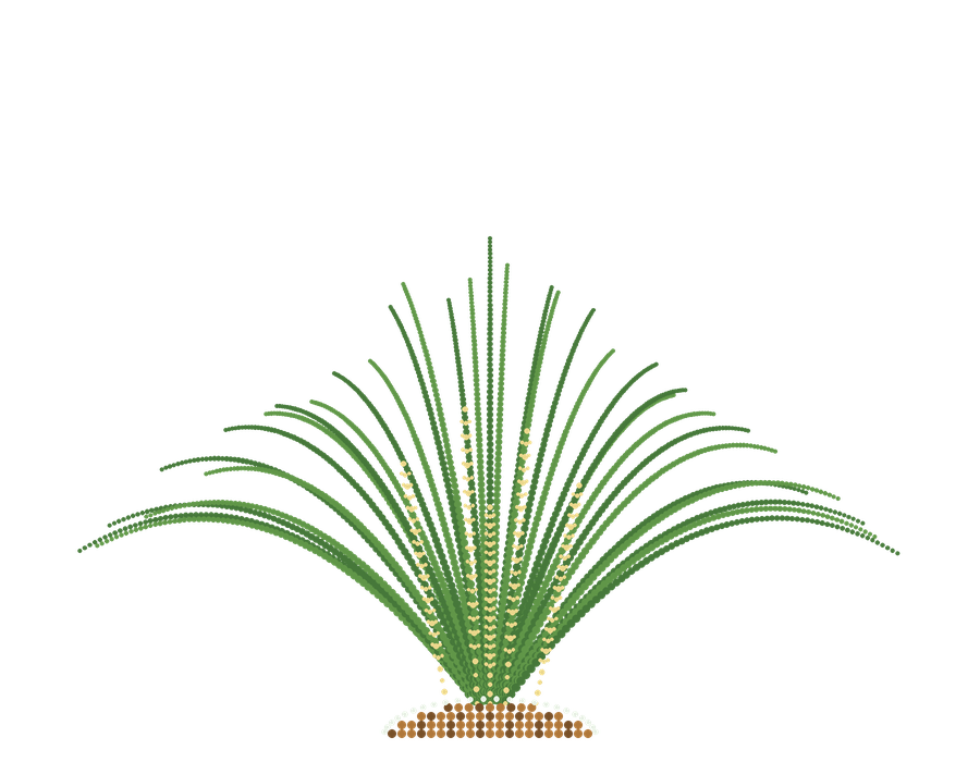 Dot-style painting of Lomandra longifolia (spiny-headed mat-rush)
