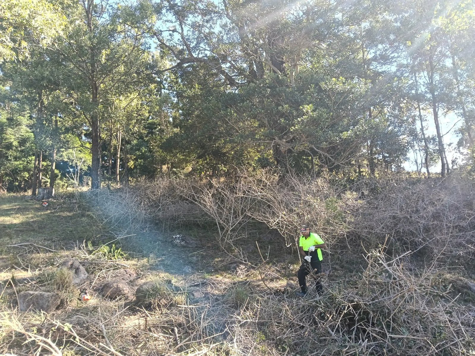 Worker brush cutting
