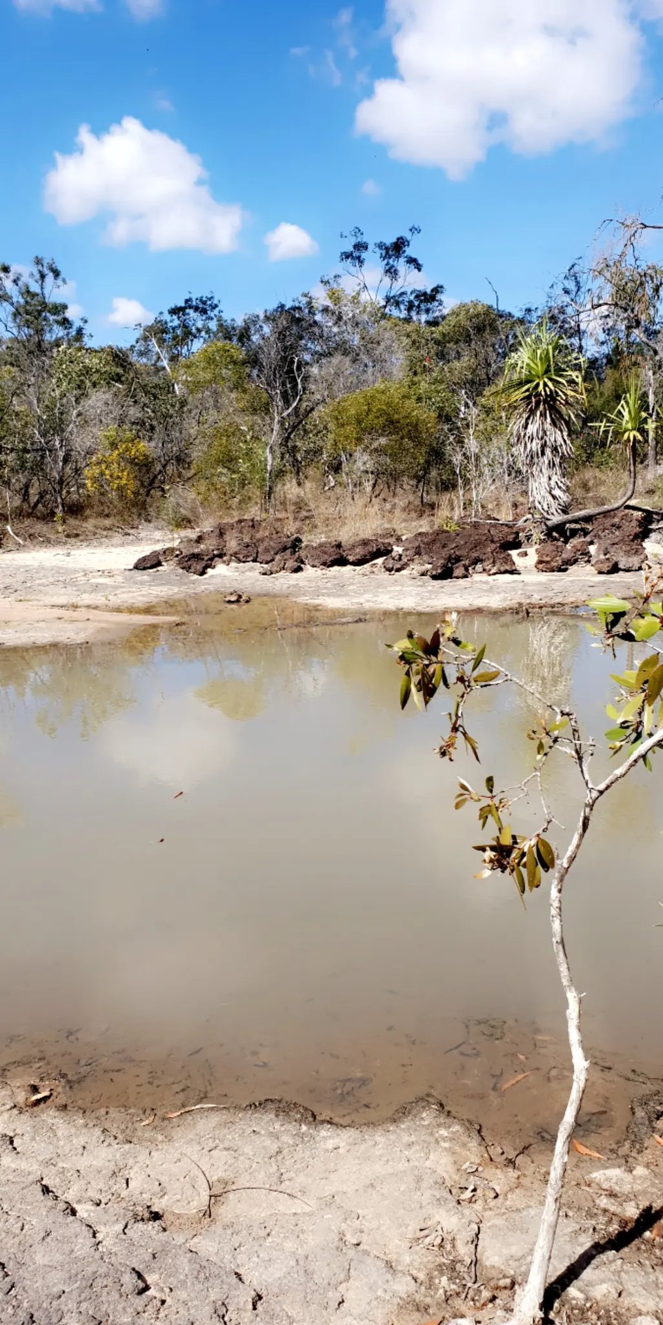 Farm dam