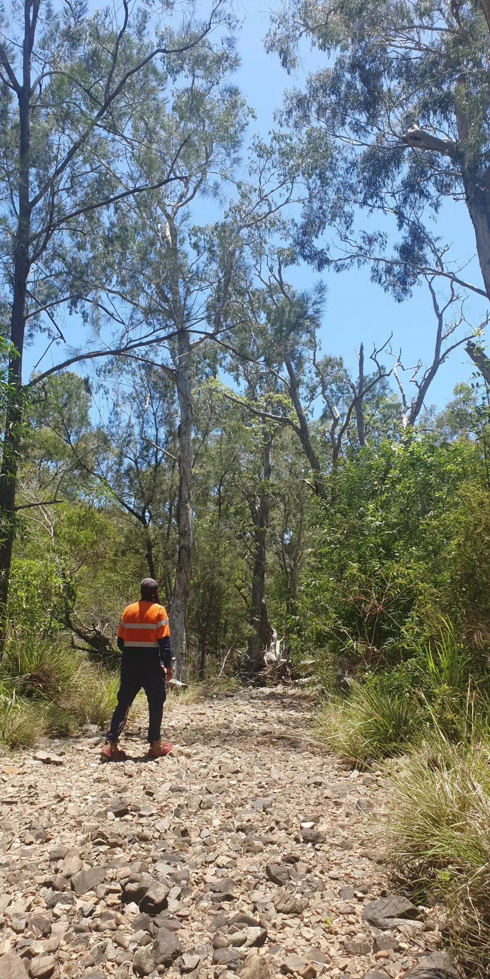 Worker on bush track